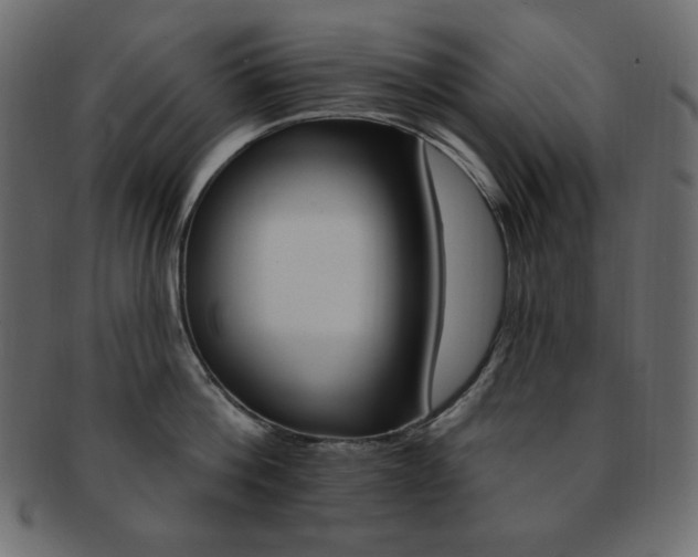 X0000093170812200709261054