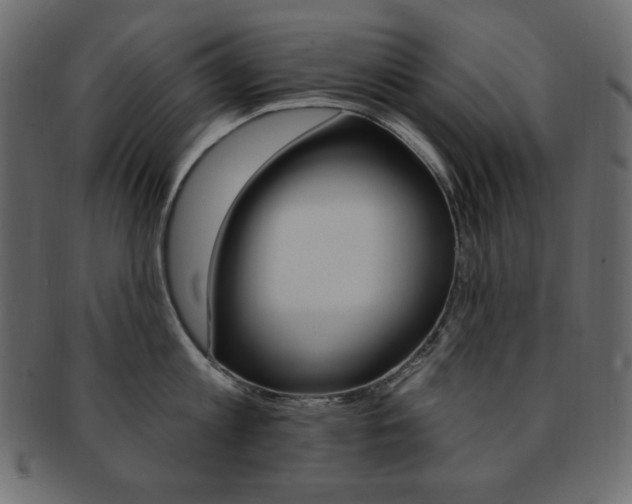 X0000093170813200709261054