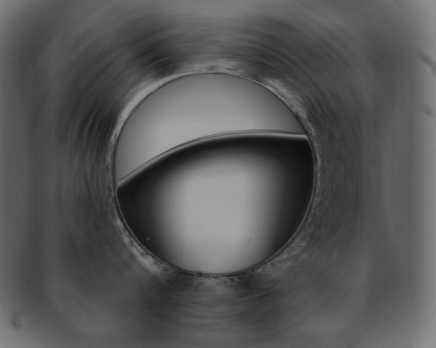 X0000093170816200709261054