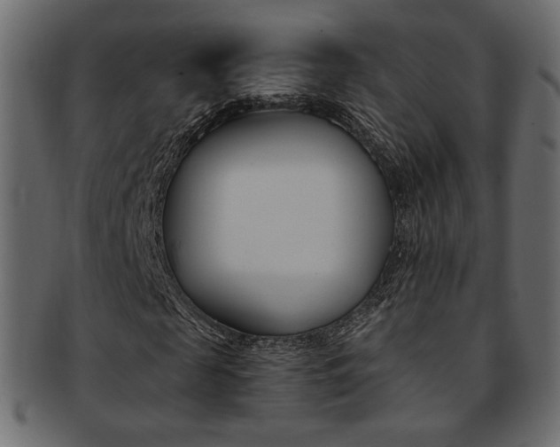 X0000093170817200709261054