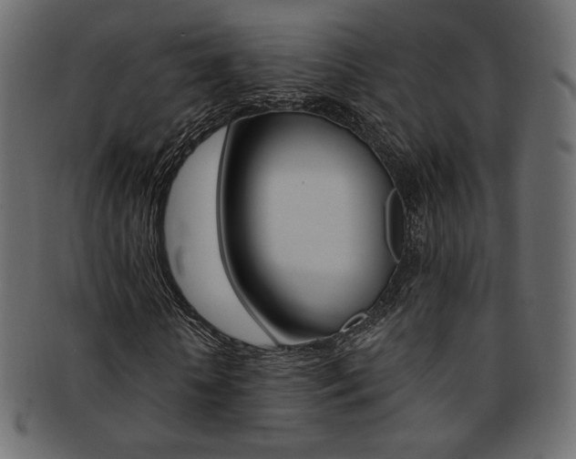 X0000093170818200709261054