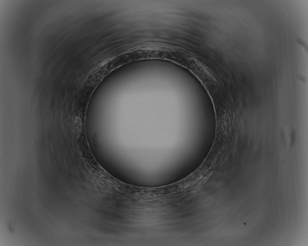 X0000093170821200709261054