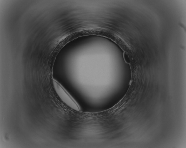 X0000093170822200709261054