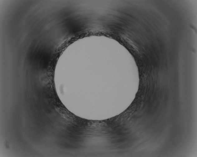 X0000093170824200709261054