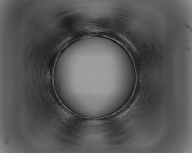 X0000093170825200709261054