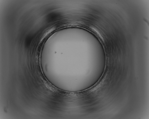 X0000093170827200709261054