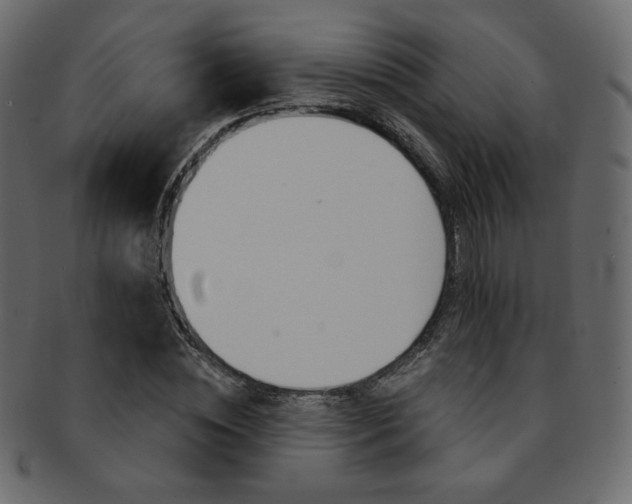 X0000093170828200709261054