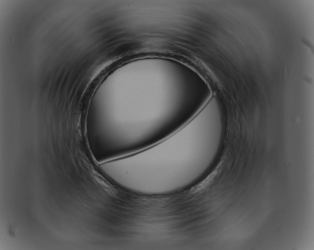 X0000093170830200709261054