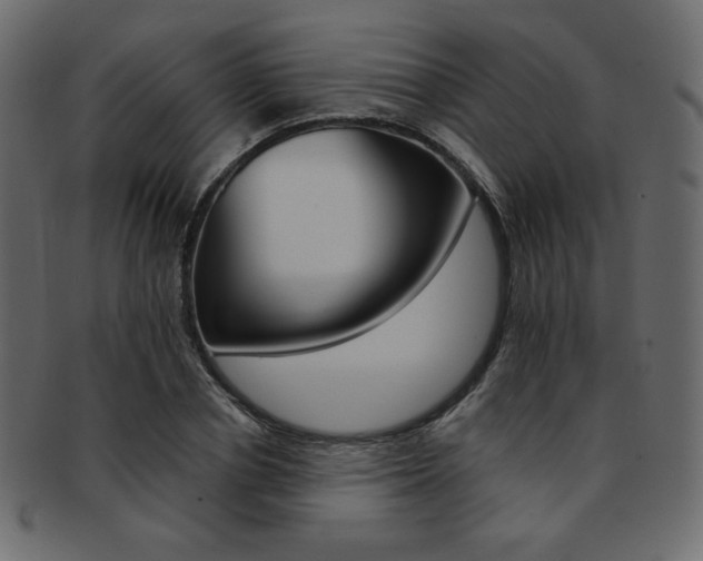 X0000093170834200709261054