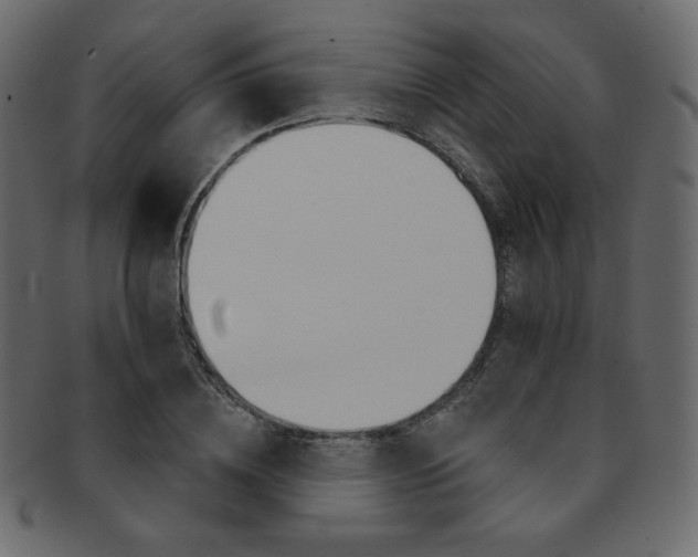 X0000093170836200709261054