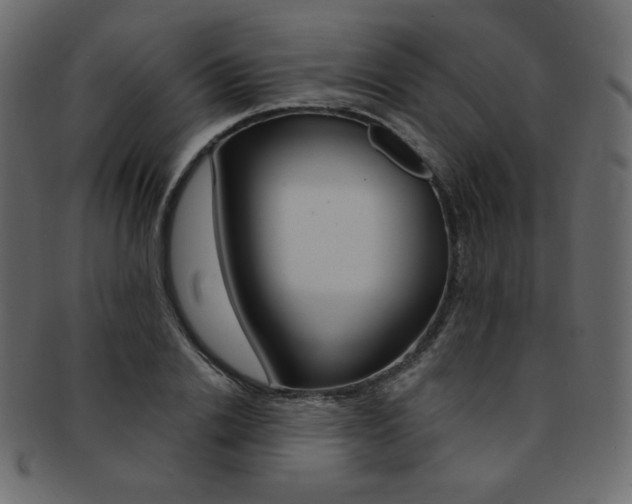 X0000093170838200709261054
