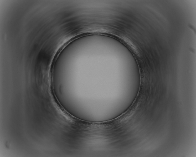 X0000093170840200709261054
