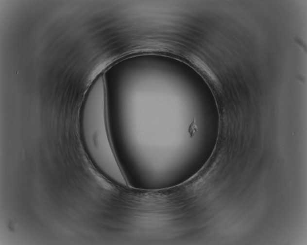 X0000093170842200709261054