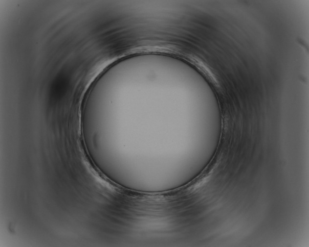 X0000093170844200709261054