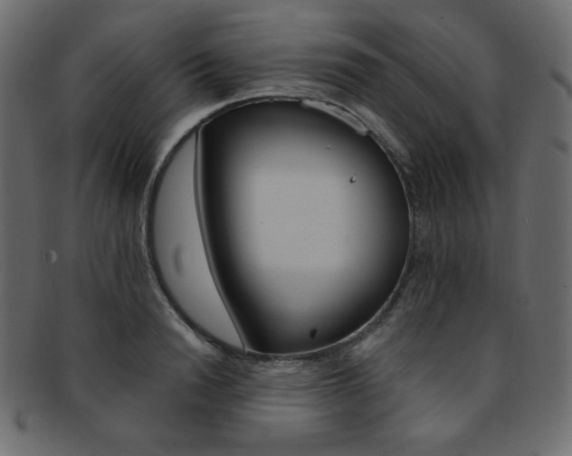 X0000093170846200709261054
