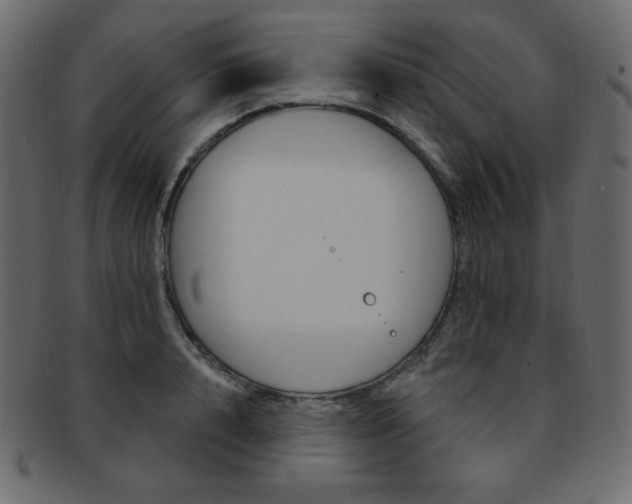 X0000093170848200709261054