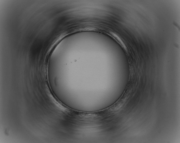 X0000093170851200709261054