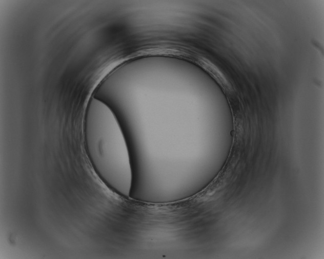 X0000093170852200709261054