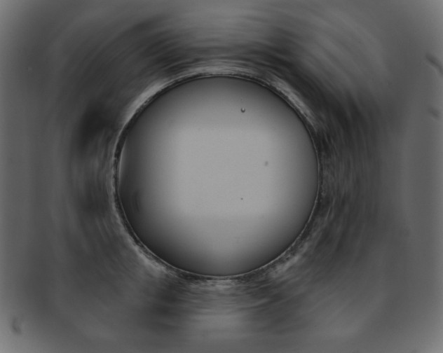 X0000093170853200709261054