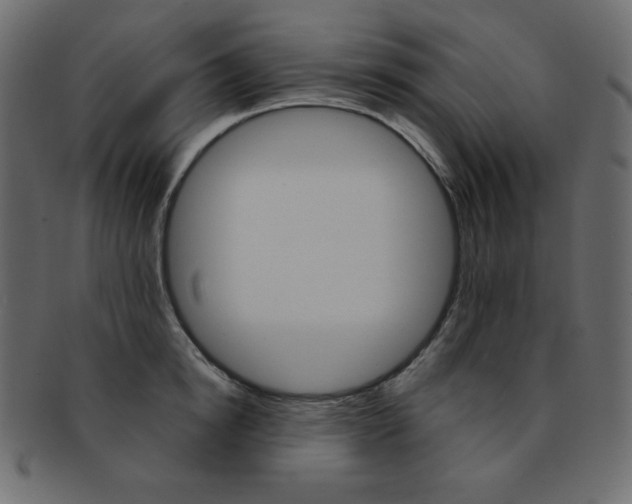 X0000093170854200709261054