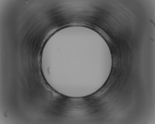 X0000093170856200709261054