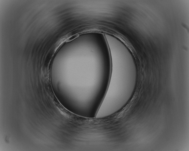 X0000093170858200709261054