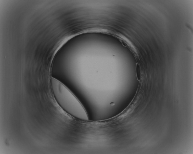 X0000093170860200709261054