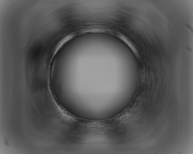 X0000093170861200709261054