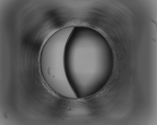 X0000093170864200709261054