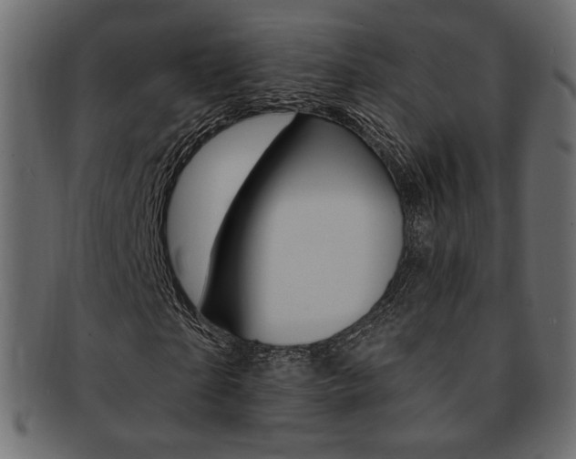 X0000093170865200709261054