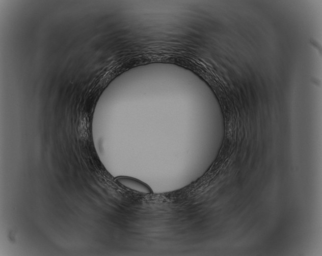 X0000093170866200709261053
