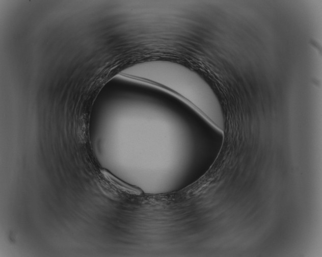 X0000093170868200709261053