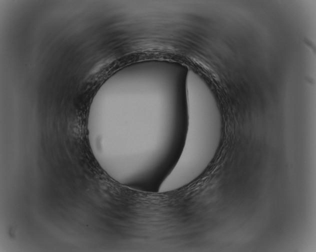 X0000093170869200709261053