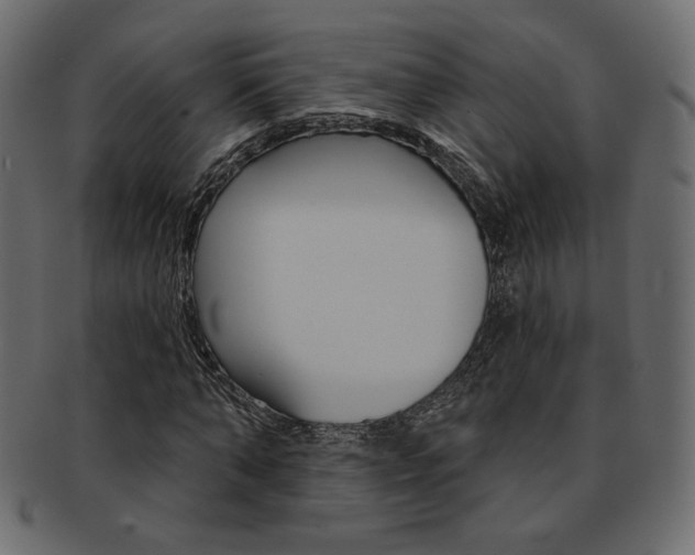 X0000093170870200709261053