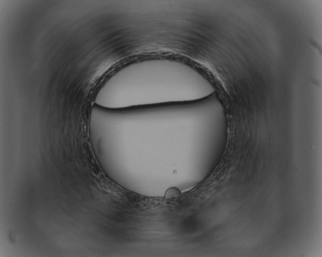 X0000093170871200709261053