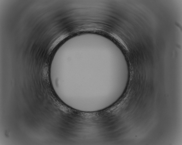 X0000093170874200709261053