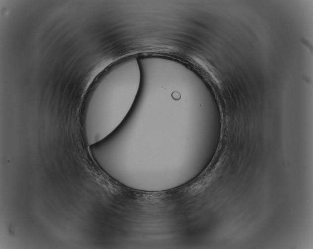 X0000093170875200709261053