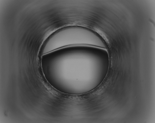 X0000093170876200709261053