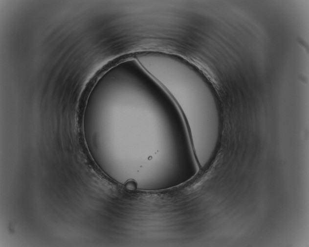 X0000093170880200709261053