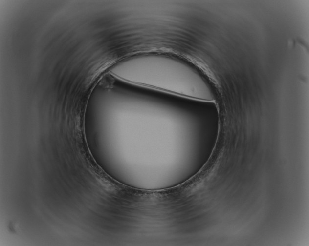 X0000093170881200709261053