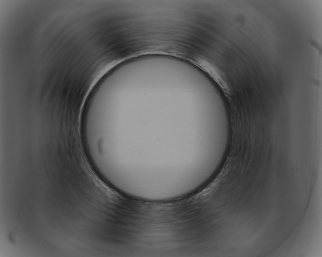 X0000093170884200709261053