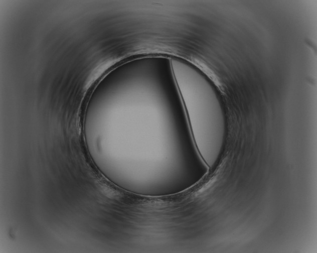 X0000093170885200709261053