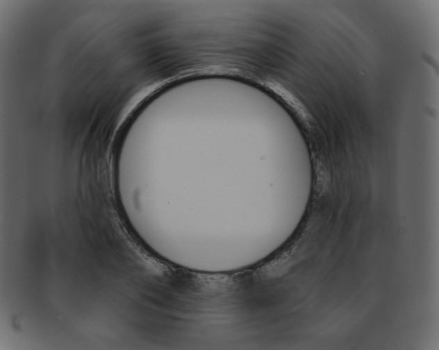 X0000093170886200709261053