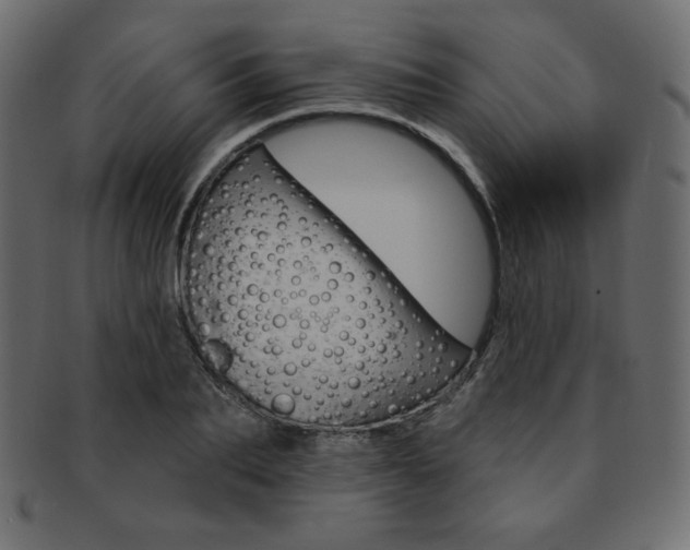 X0000093170887200709261053