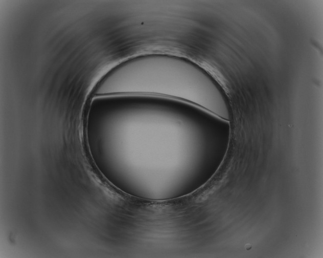 X0000093170888200709261053