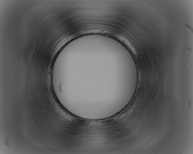X0000093170890200709261053