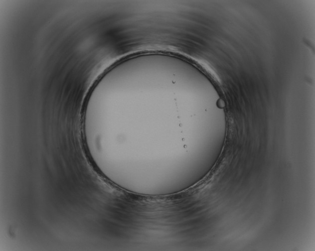 X0000093170895200709261053