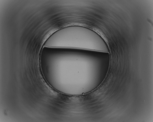 X0000093170898200709261053