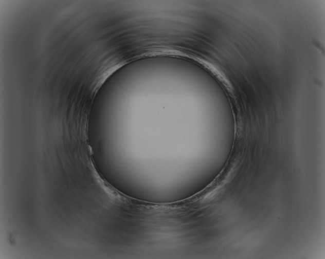X0000093170905200709261053