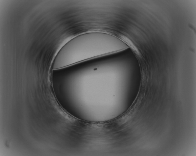 X0000093170908200709261053